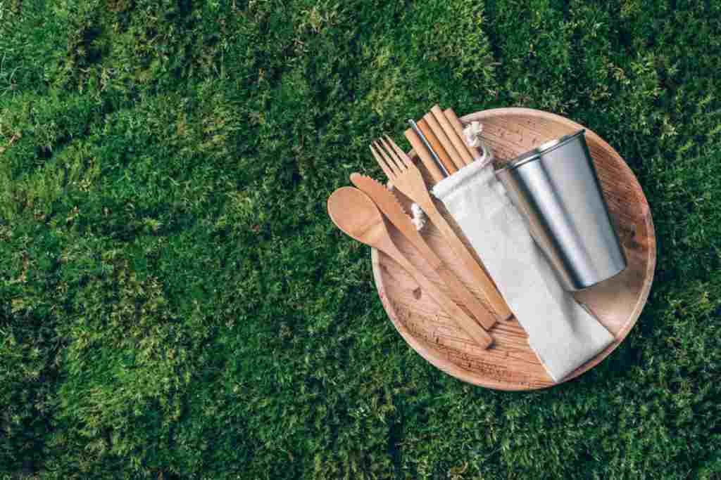 picnic plate and cutlery